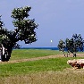 Masseria San Domenico