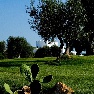 Torre Maizza