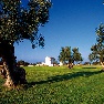 Torre Maizza
