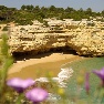 Suites Alba Resort