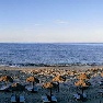 ����� Quinta do Lago 5*