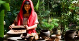 «Маршрут какао» в Эквадоре – в числе мест, которые стоит посетить