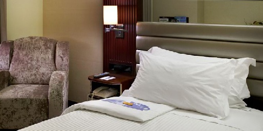 ����� The Porto Palácio Congress 5*, ����������