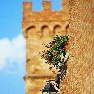 Borgo tre Rose