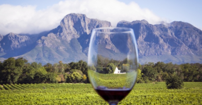 Тур в ЮАР: сафари, вино, киты и дорога садов!