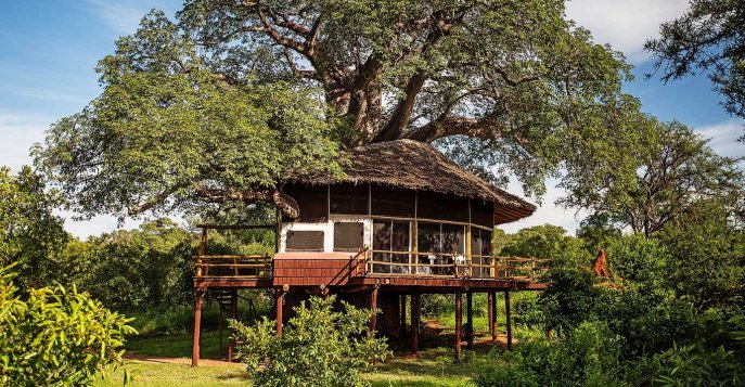 Отель Elewana Tarangire Treetops 5*, Танзания