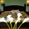 ����� Hacienda Resorts 5*-3*