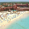 ����� Viva Windham Tangerine 4*