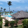 �������� ������ Viva Dominicus