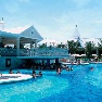 ����� ClubHotel Riu Negril 5*