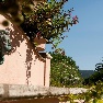 ����� Park Hotel Zibellino 4*