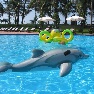 Novotel Coralia