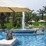 Palm Garden