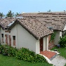 Palm Garden