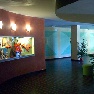 ����� Fabricia 4*