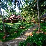����� Somatheeram Ayurvedic Beach Resort 3*
