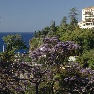 ����� Reid's Palace 5*