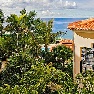 ����� Madeira Regency Palace 5*