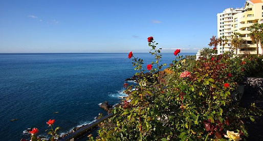 ����� Madeira Regency Cliff 4*, ����������