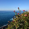����� Madeira Regency Cliff 4*