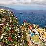 ����� Madeira Regency Cliff 4*
