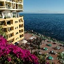 Pestana Palms