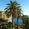 Pestana Palms