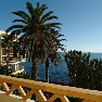 Pestana Palms