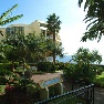 Pestana Palms