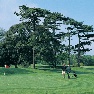 ChewtonGlen