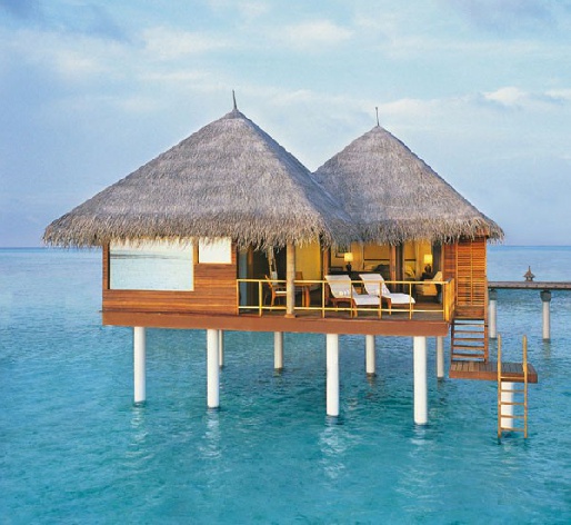 Отель Taj Exotica Resort & Spa 5*, Мальдивы