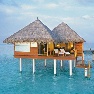 ����� Taj Exotica Resort & Spa 5*