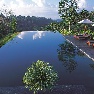 ����� ALiLa Ubud boutique 5*