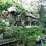 ����� Maya Ubud Resort & Spa 5*