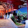 ����� Kupu Kupu Barong 5*