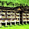 ����� Alta Vista de Boracay Resort 3*