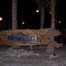 ����� Microtel Inn & Suites Boracay 3*