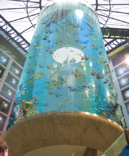 Aquadom, ������