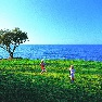 ����� Grecotel Marina Palace resort and Spa CAT A