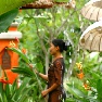 ����� Zazen Boutique Resort and Spa Ko Samui 5*