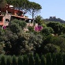 ����� Il Pellicano 5*