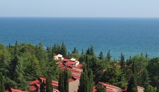 Отель Royal Castle 5*, Болгария