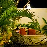 Villa Sun