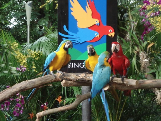 Парк птиц, Сингапур
