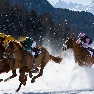White Turf St. Moritz