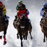 White Turf St. Moritz