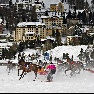White Turf St. Moritz