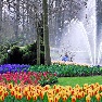 ��� � ���� Keukenhof
