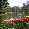 ��� � ���� Keukenhof