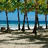 ����� Bohol Beach Club 3*